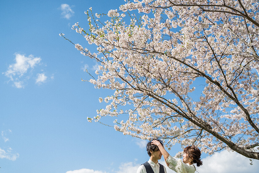 フォトウェディング C+Y